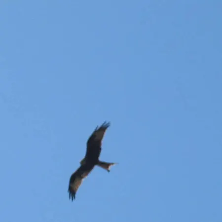 A Dans La Plaine Du Reginu 2, Pour 3 Personnes Apartamento Speloncato (Corsica)